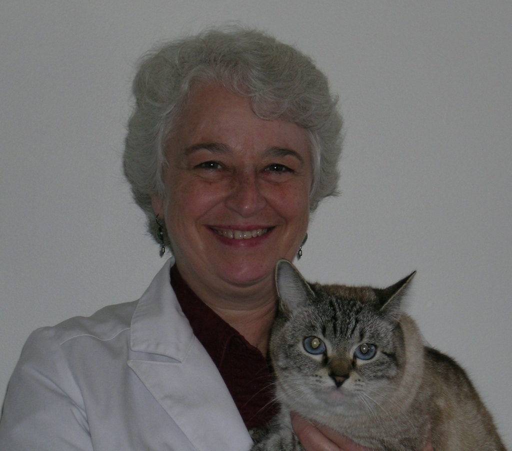  dr susan