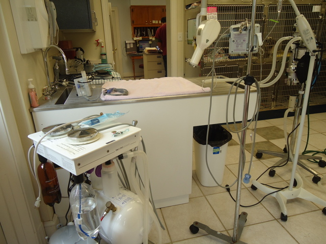 Dental Suite